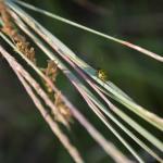 2017OTRA-1_1349 (August 30, 2017)